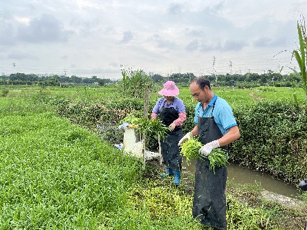 4【标题】暴雨天气 菜地受影响 (6)~1.jpg