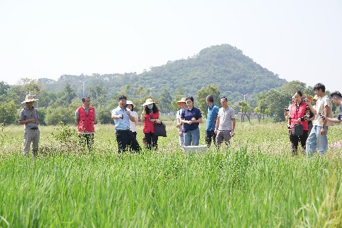 3【标题】科学施肥增效技术培训助力我镇农业发展 (4)~1.jpg